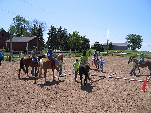 IMG 2683