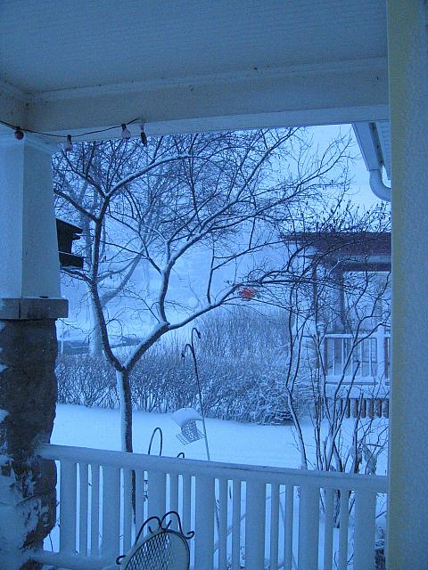 IMG 3951