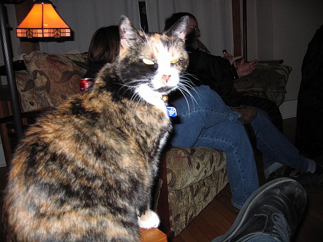 IMG 2872