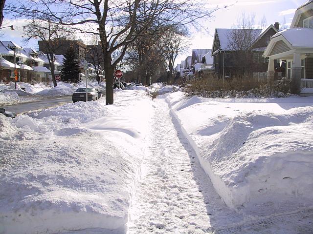 img 1325