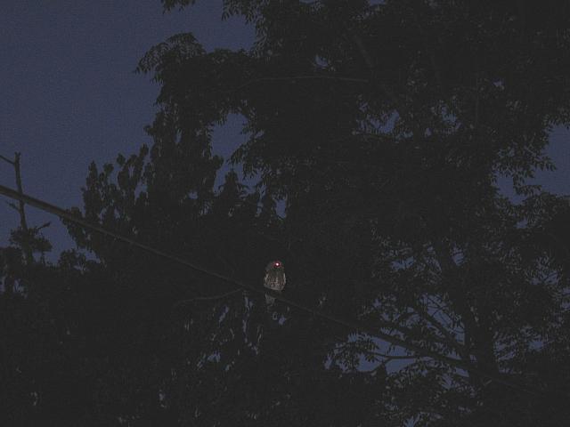 IMG 2552