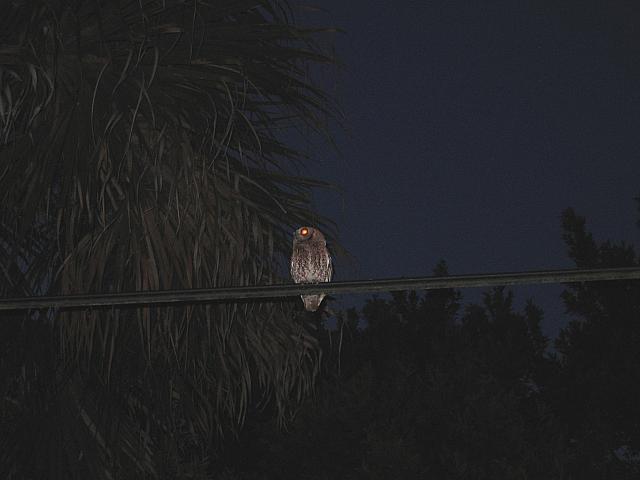 IMG 2554