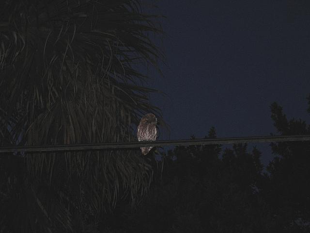 IMG 2555