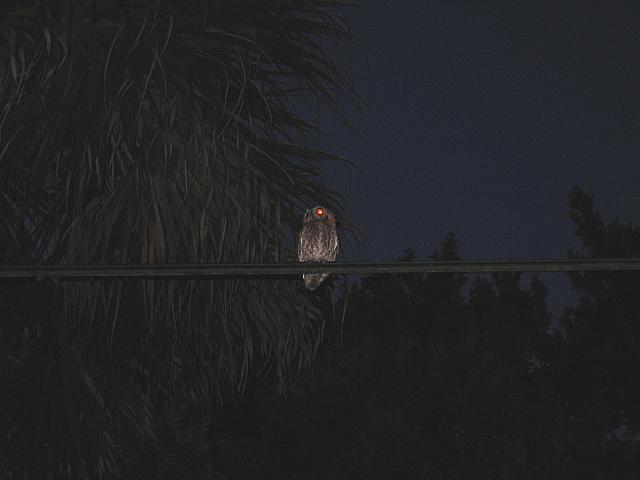 IMG 2556
