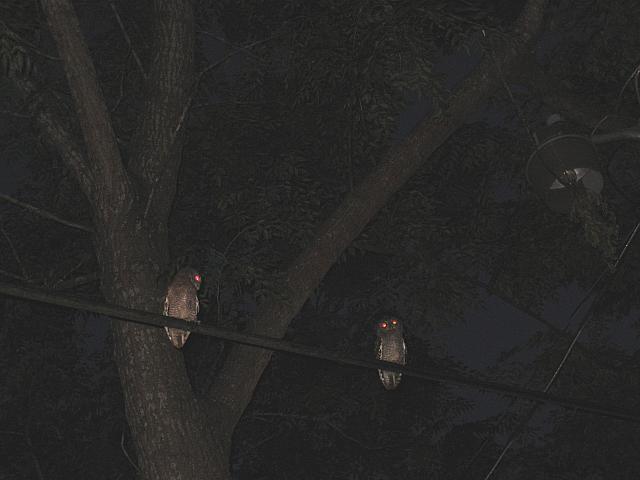 IMG 2557