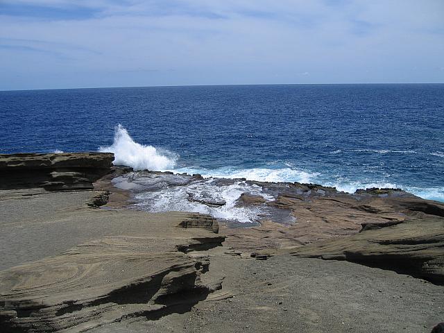 IMG 1574