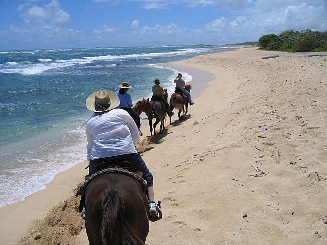 IMG 1588