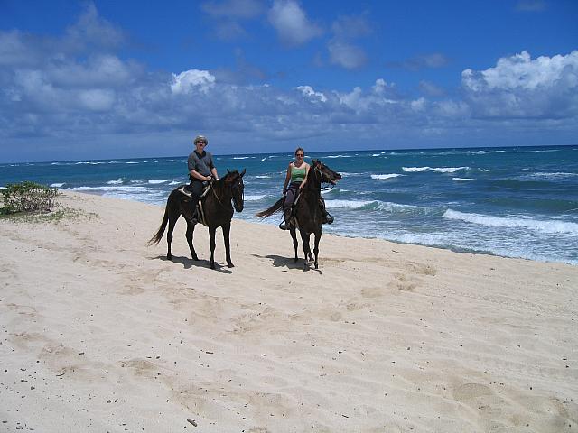 IMG 1594