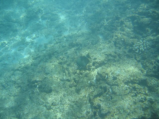 IMG 1603