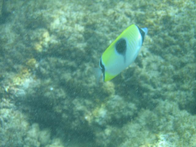 IMG 1605