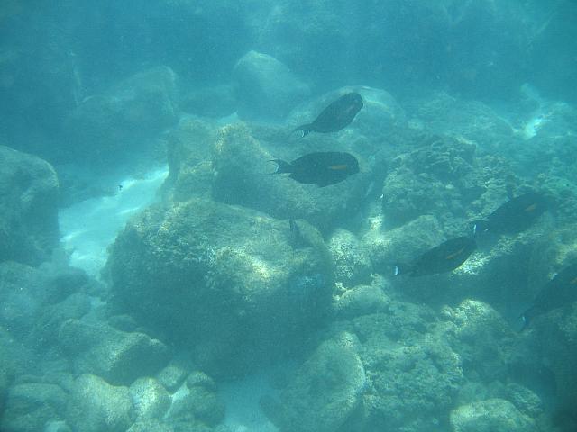 IMG 1608