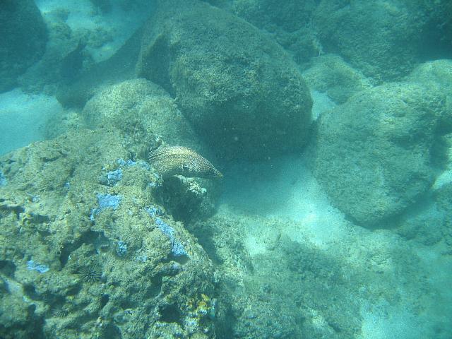 IMG 1609