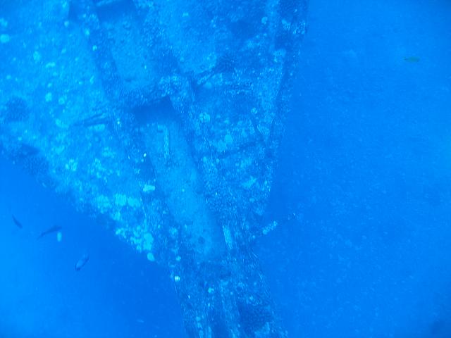 IMG 1611