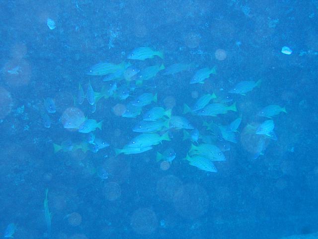 IMG 1616