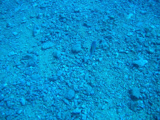 IMG 1625