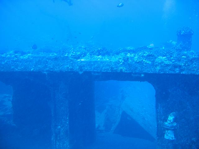 IMG 1629