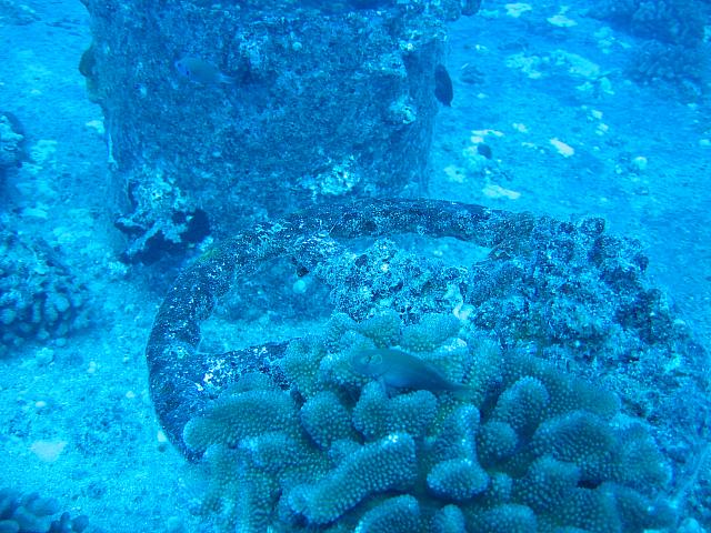 IMG 1632