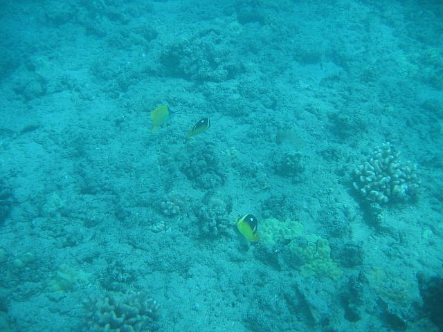 IMG 1633