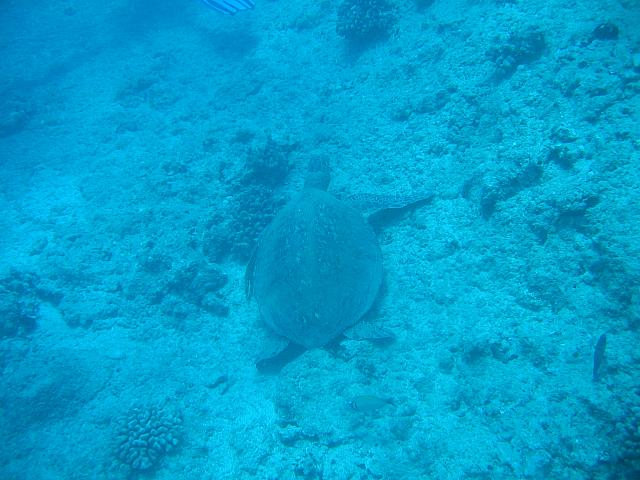 IMG 1639