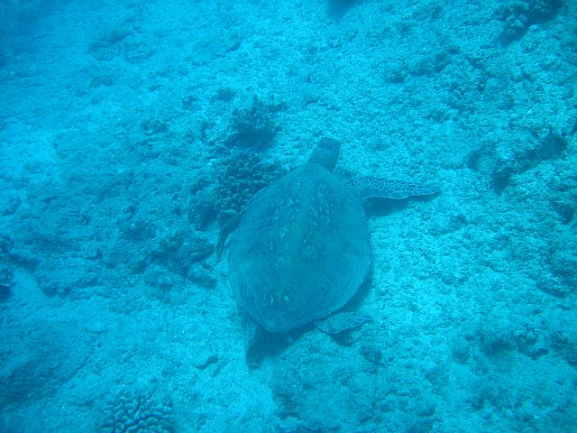 IMG 1640