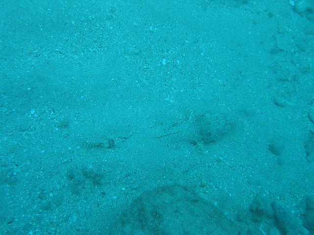 IMG 1646