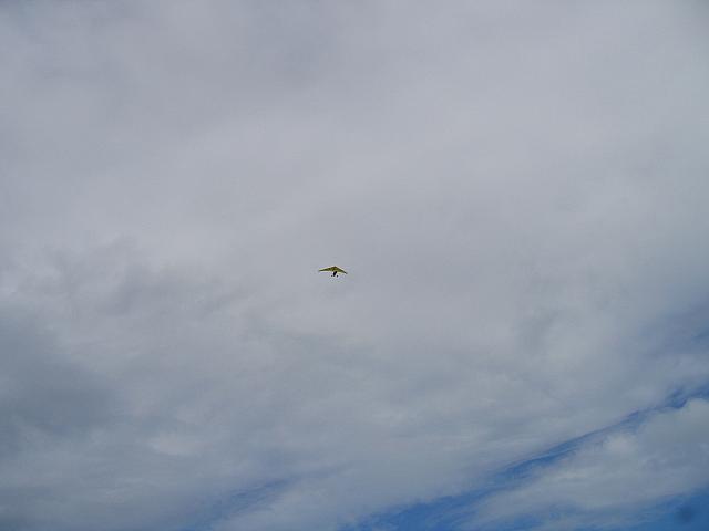 IMG 1664