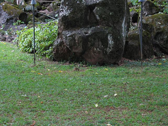 IMG 1669