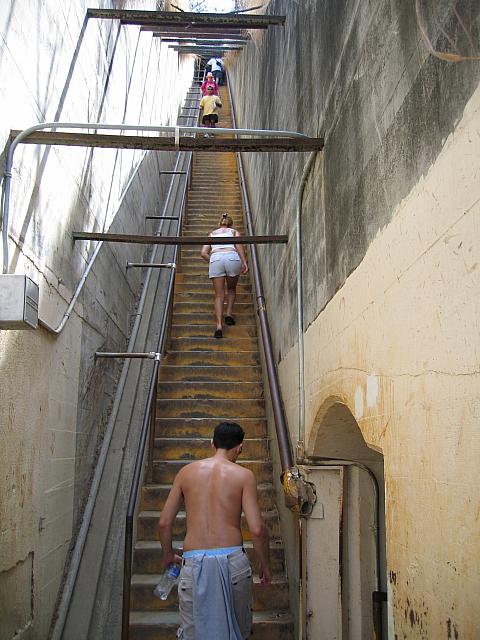 IMG 1684