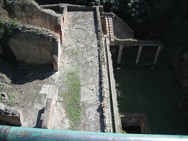 IMG 0637