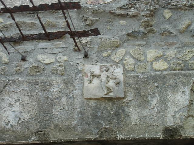IMG 0648