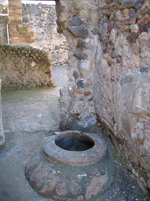 IMG 0650