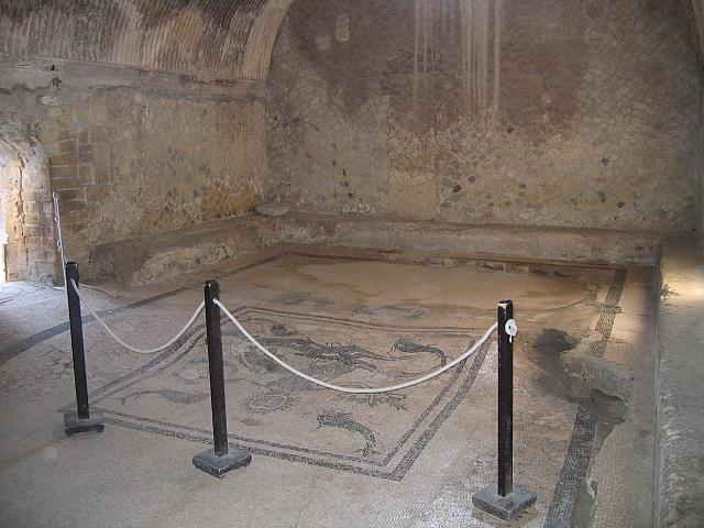 IMG 0656
