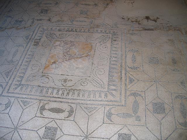 IMG 0692