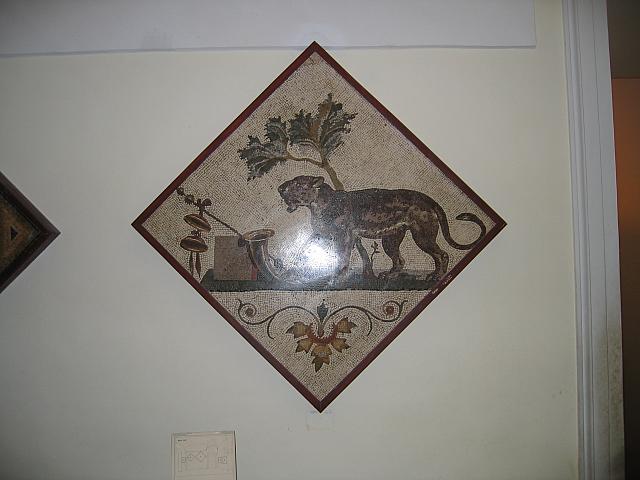 IMG 0462