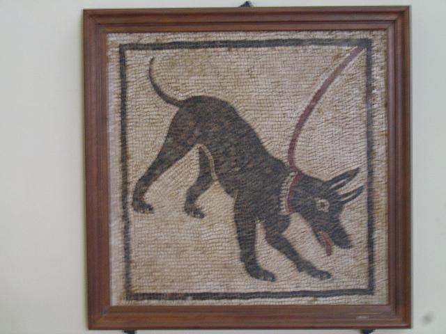 IMG 0464