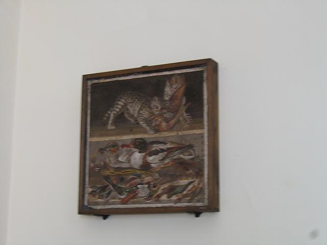IMG 0480