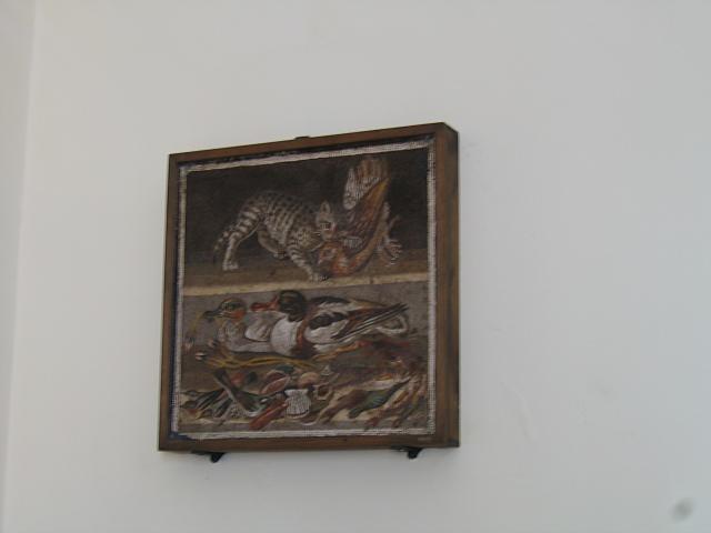 IMG 0481