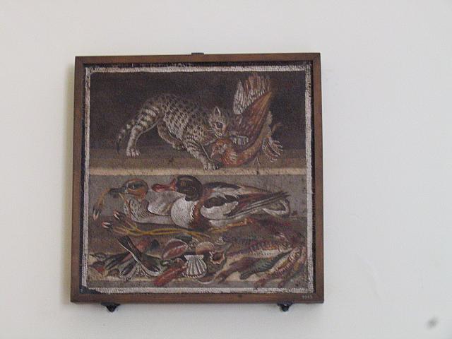 IMG 0483