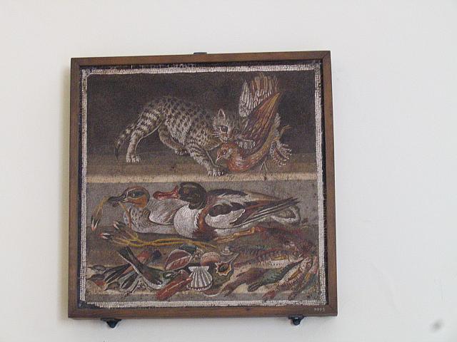 IMG 0484