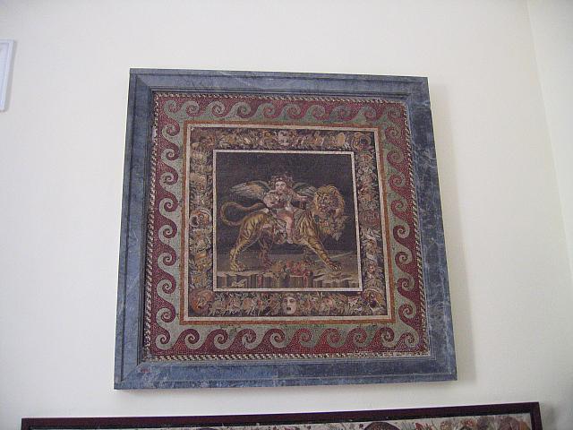 IMG 0485