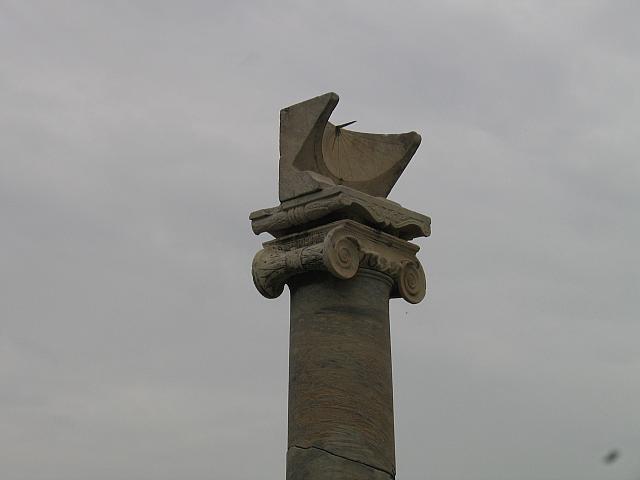 IMG 0552