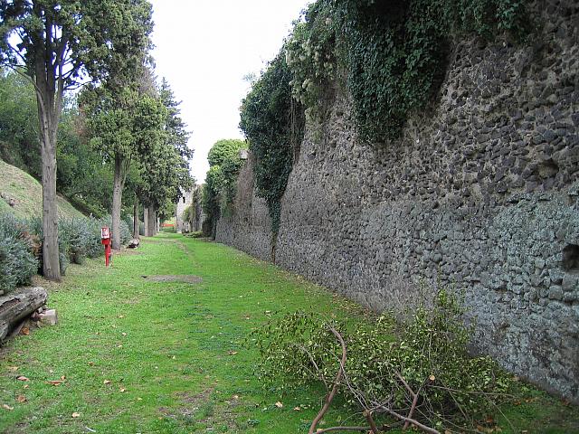 IMG 0592