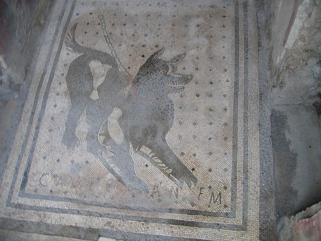 IMG 0604