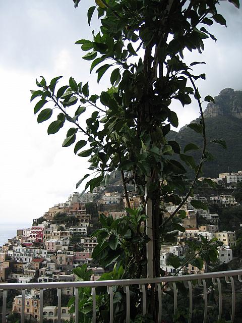IMG 0522