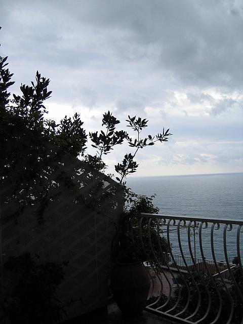 IMG 0525
