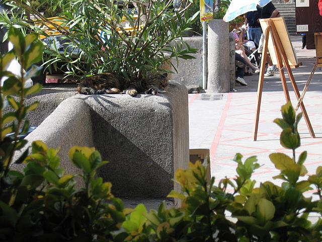 IMG 0538