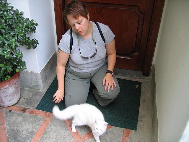 IMG 0541
