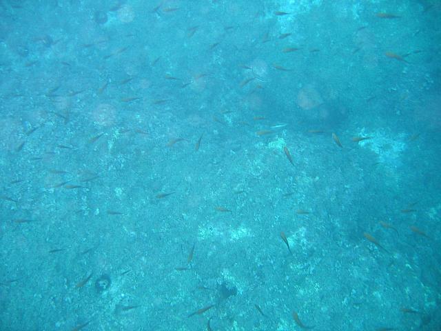 IMG 0721
