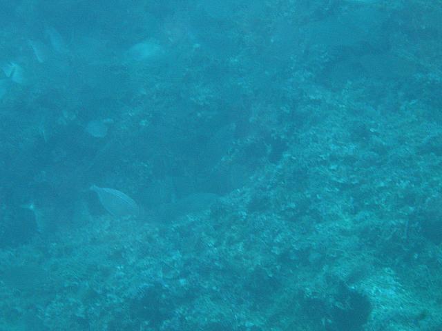 IMG 0722