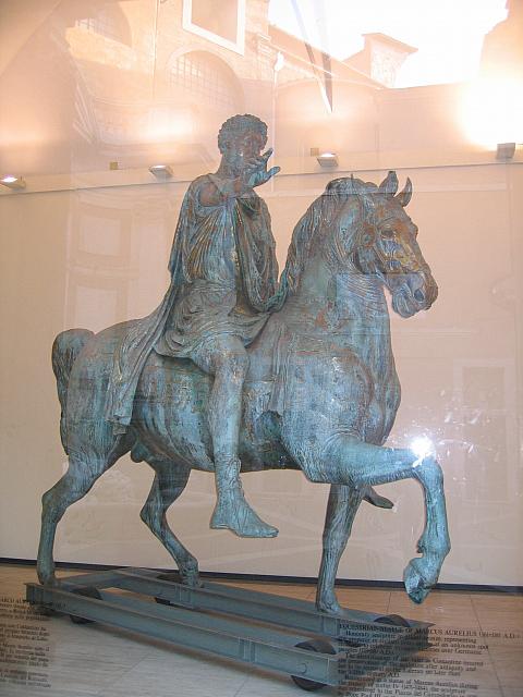 IMG 0782